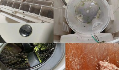 5 "ổ bệnh" ẩn nấp ngay trong nhà: Bạn càng nghĩ vô hại càng nguy hiểm!