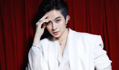 Gil Lê phẫu thuật thẩm mỹ?