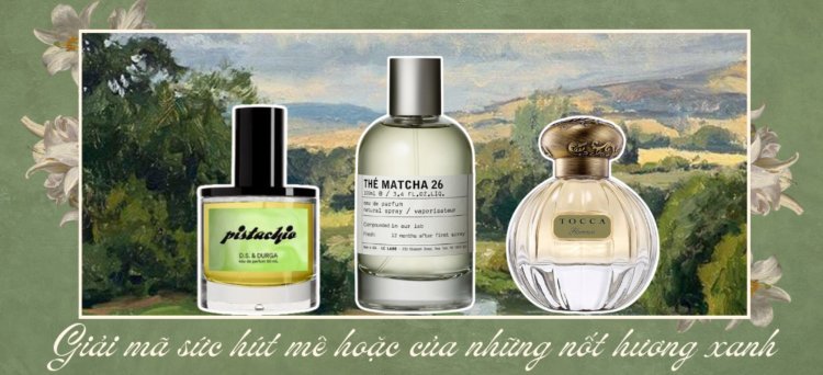 Matcha, quả lê và hạt dẻ cười – Sức hút mê hoặc của những nốt hương xanh