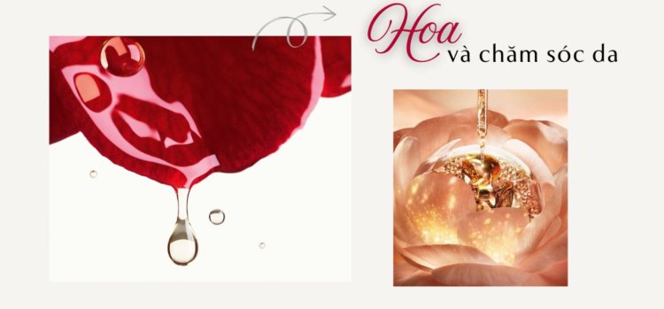 Bí mật làm đẹp từ những cánh hoa
