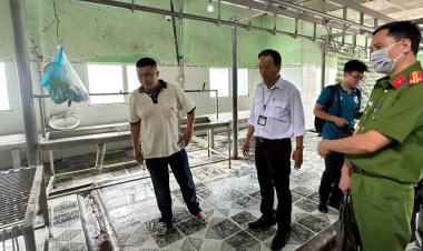 Đại diện C.P Việt Nam thừa nhận hình ảnh "tố" heo bệnh là thật, chủ cơ sở giết mổ gia công chia sẻ thông tin nóng