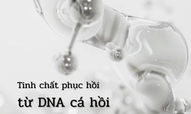 Giải mã PDRN – Chất liệu “tái sinh” làn da từ DNA cá hồi