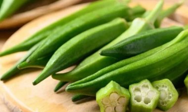 Tôi đã dùng thứ nước nhờn nhụa từ đậu bắp để ngăn tóc rụng "như lá mùa thu", 3 tháng sau điều bất ngờ đến