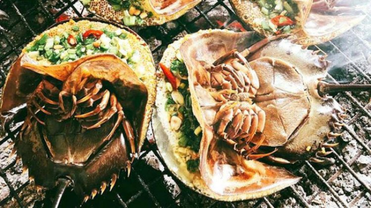 Đặc sản đắt hơn tôm, ghẹ, thuộc dạng quý hiếm ở Quảng Ninh: Bộ phận nào cũng nấu được, vị “kén người ăn”