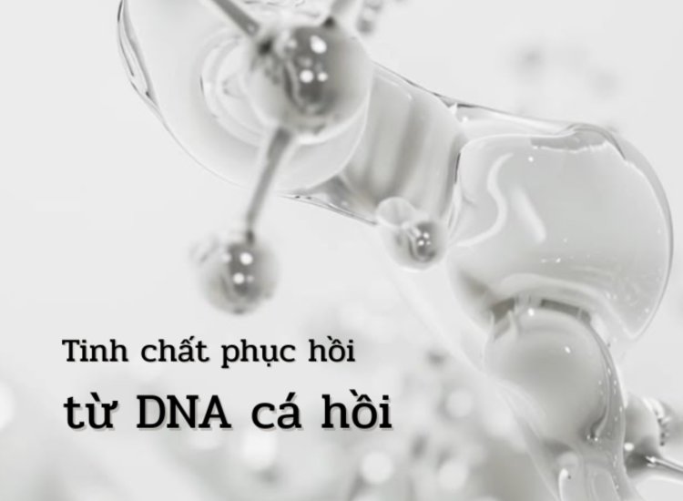 Giải mã PDRN – Chất liệu “tái sinh” làn da từ DNA cá hồi