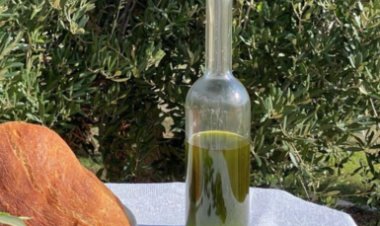 Chuyện gì sẽ xảy ra khi bạn uống 1 “shot” dầu ô liu nguyên chất mỗi sáng?