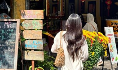 Top 5 thành phố ở Việt Nam được lòng các du khách quốc tế nhất