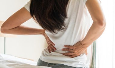 Top 10 loại thực phẩm giúp cột sống dẻo dai, giảm nguy cơ đau lưng