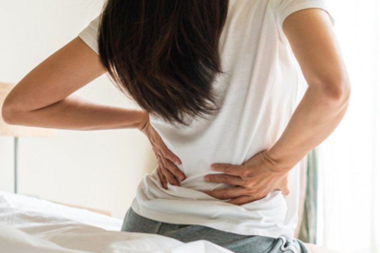 Top 10 loại thực phẩm giúp cột sống dẻo dai, giảm nguy cơ đau lưng