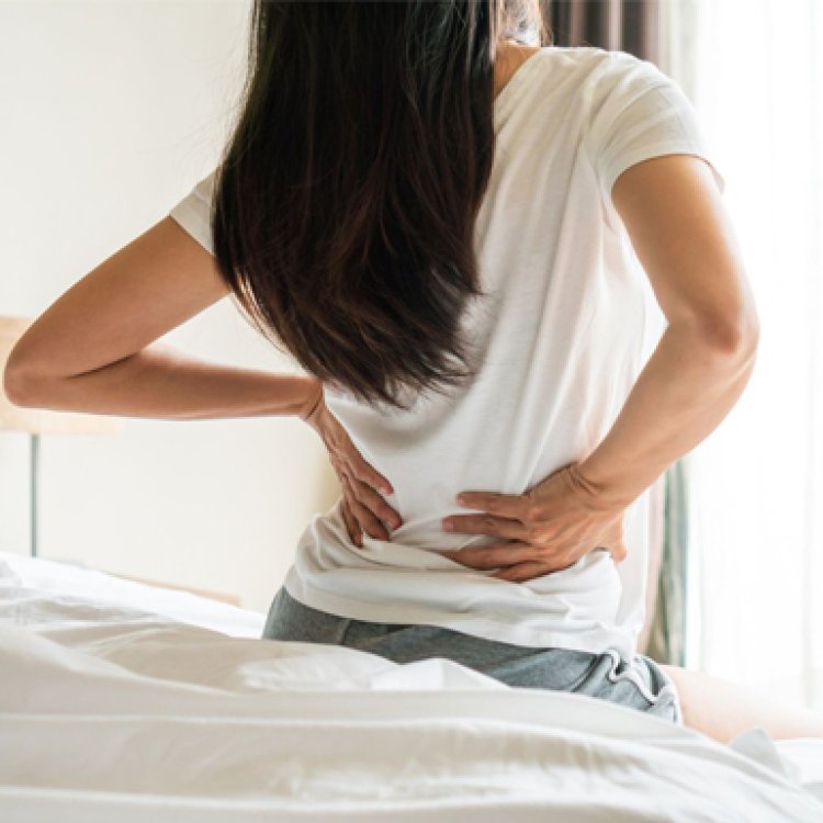 Top 10 loại thực phẩm giúp cột sống dẻo dai, giảm nguy cơ đau lưng