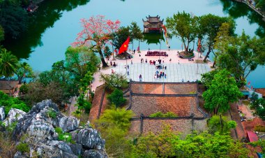 Làng quê Hà Nội mùa hoa gạo như tranh vẽ