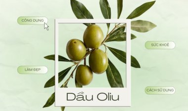 Chuyện gì sẽ xảy ra khi bạn uống 1 “shot” dầu ô liu nguyên chất mỗi sáng?