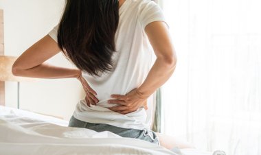 Top 10 loại thực phẩm giúp cột sống dẻo dai, giảm nguy cơ đau lưng