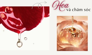 Bí mật làm đẹp từ những cánh hoa