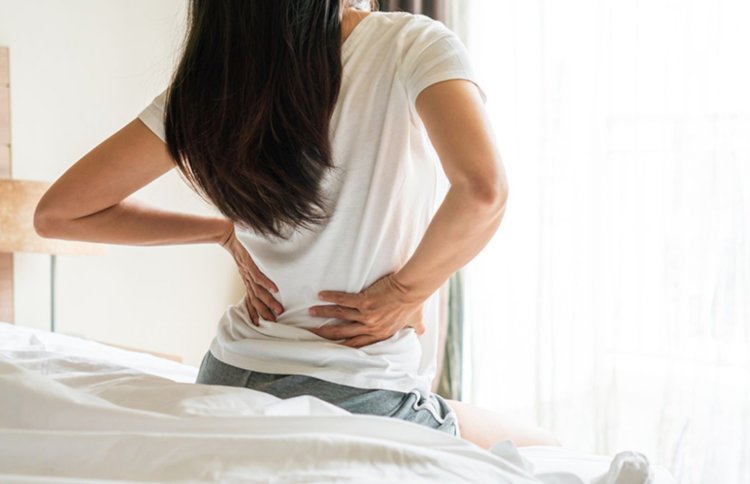 Top 10 loại thực phẩm giúp cột sống dẻo dai, giảm nguy cơ đau lưng