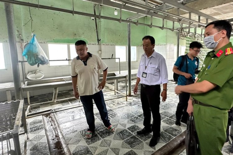 Đại diện C.P Việt Nam thừa nhận hình ảnh "tố" heo bệnh là thật, chủ cơ sở giết mổ gia công chia sẻ thông tin nóng