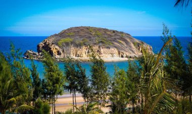 Khám phá Hòn Rùa hoang sơ bên bờ biển Lâm Đồng