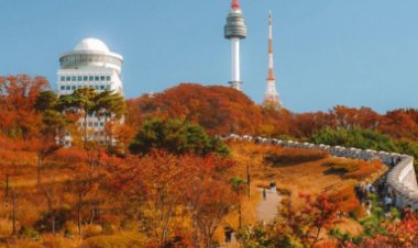 Mùa thu đẹp nhất là ở Hàn Quốc và Nhật Bản