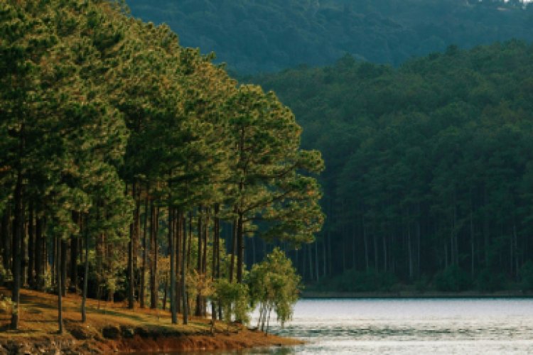 Đây là 5 gợi ý “cuối tuần đi đâu” dành cho người luôn bận rộn với deadline