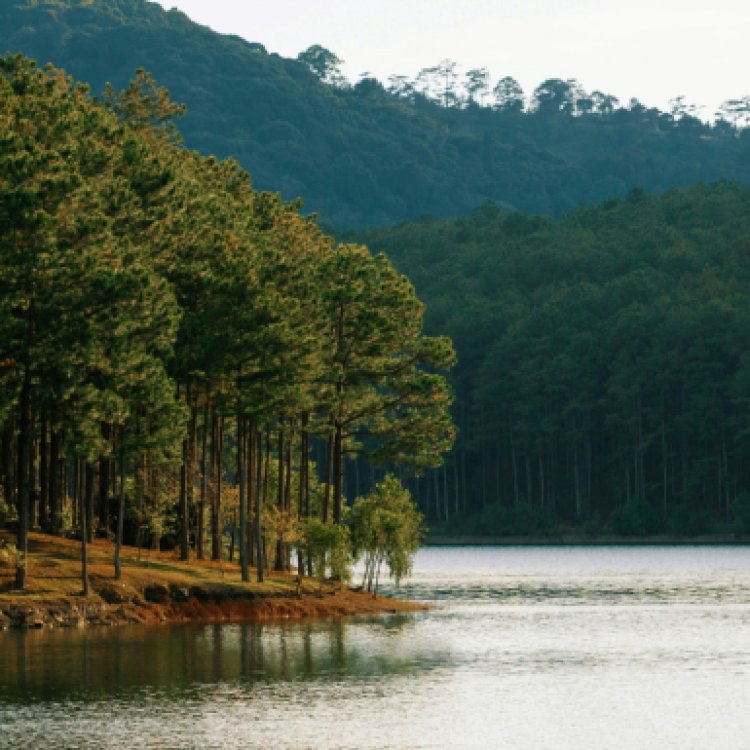 Đây là 5 gợi ý “cuối tuần đi đâu” dành cho người luôn bận rộn với deadline